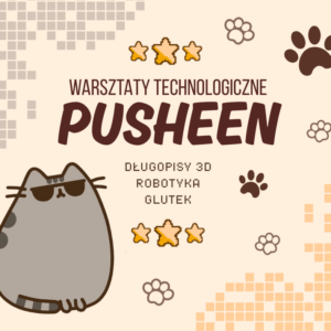 Pusheen Warsztaty Technologiczne Chojnice